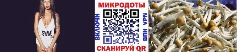 kraken сайт  Нолинск  Галлюциногенные грибы Magic Shrooms 