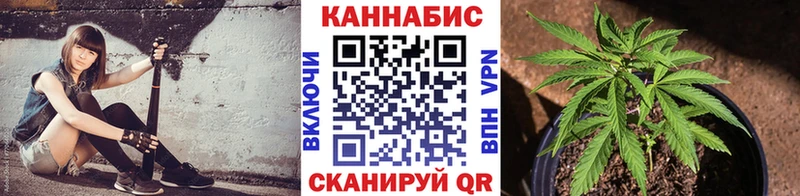Шишки марихуана OG Kush  Нолинск 